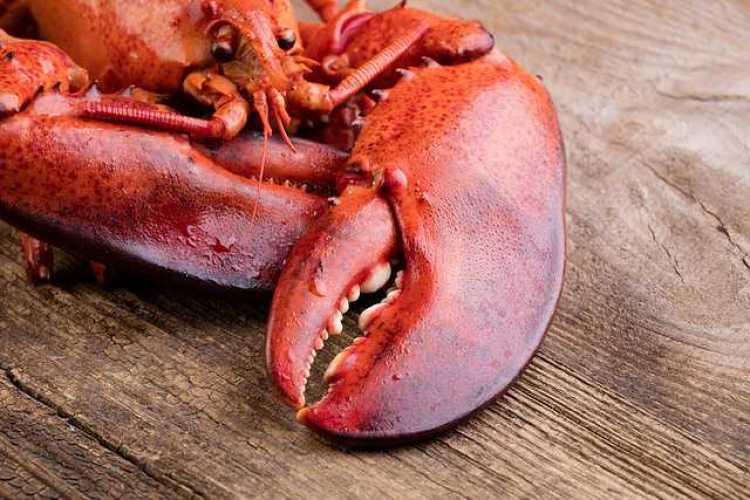 Kreeften menu <br /> €79,50 pp